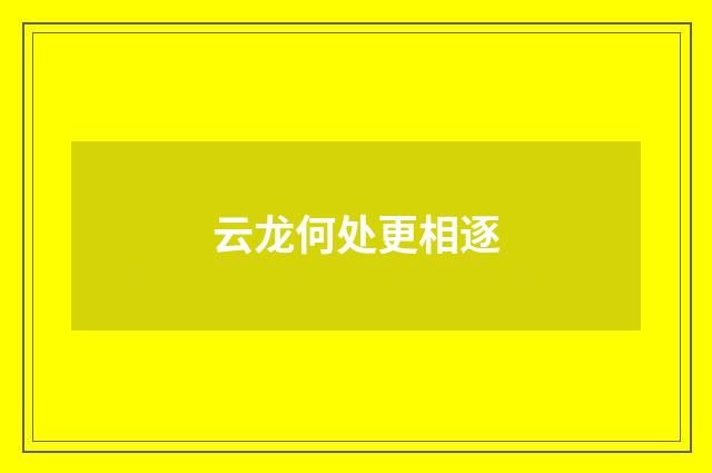云龙何处更相逐