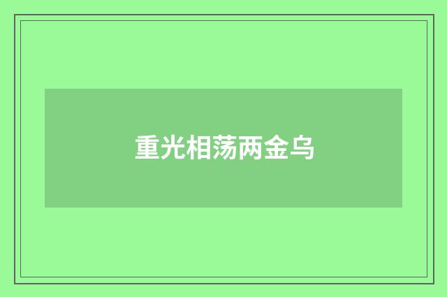 重光相荡两金乌