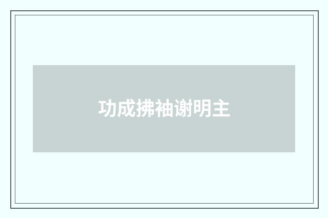 功成拂袖谢明主