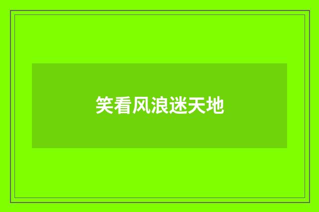 笑看风浪迷天地