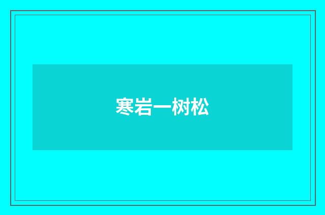 寒岩一树松