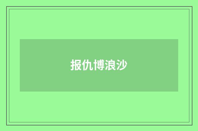 报仇博浪沙