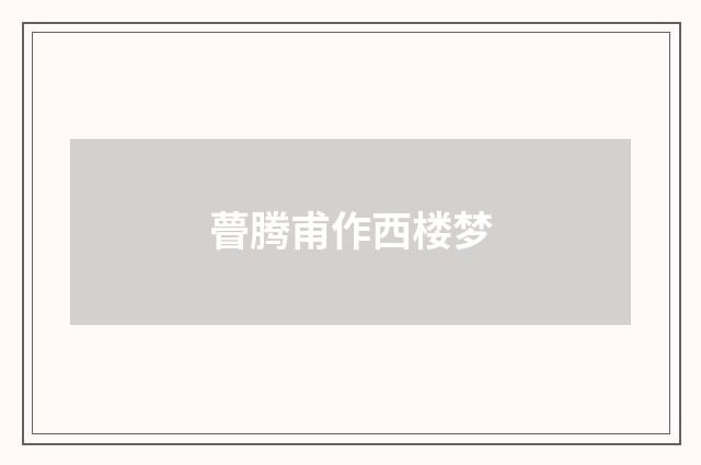 瞢腾甫作西楼梦