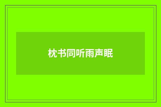 枕书同听雨声眠