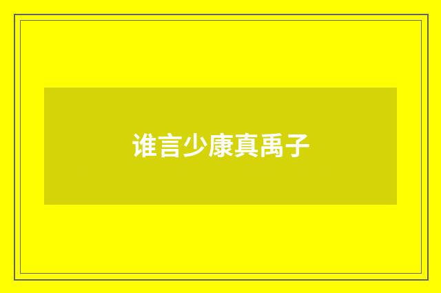 谁言少康真禹子