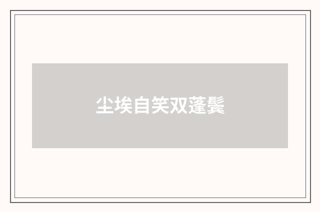 尘埃自笑双蓬鬓