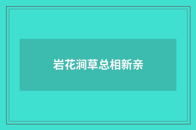 岩花涧草总相新亲