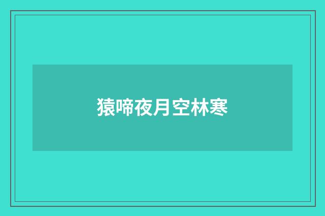 猿啼夜月空林寒