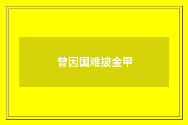 曾因国难披金甲