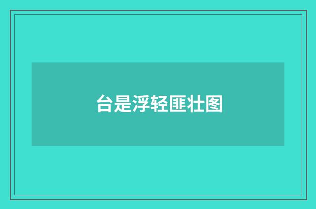 台是浮轻匪壮图