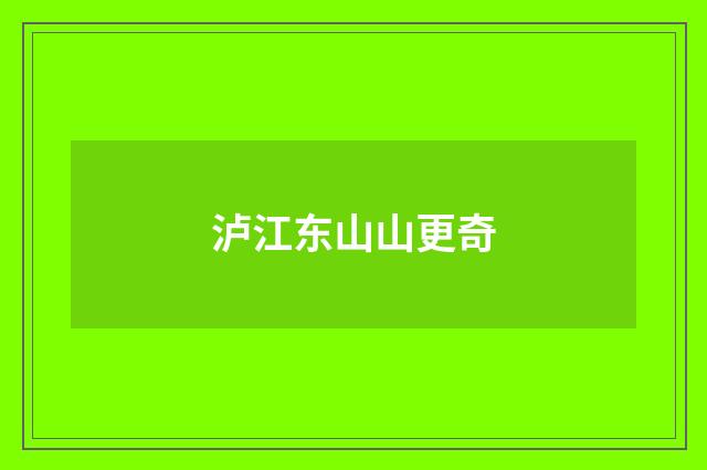 泸江东山山更奇