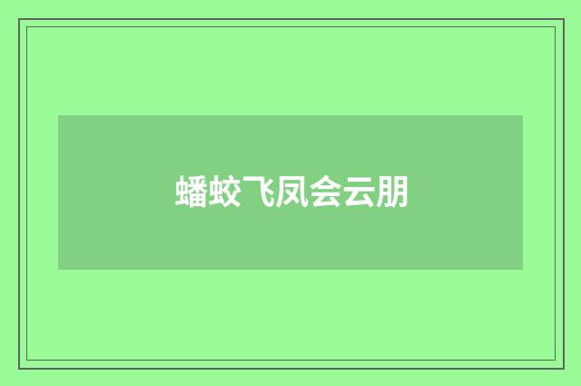 蟠蛟飞凤会云朋