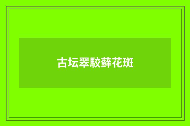 古坛翠駮藓花斑