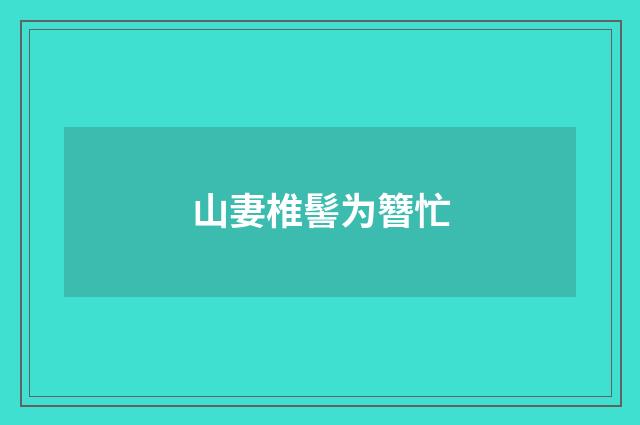 山妻椎髻为簪忙