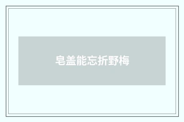 皂盖能忘折野梅