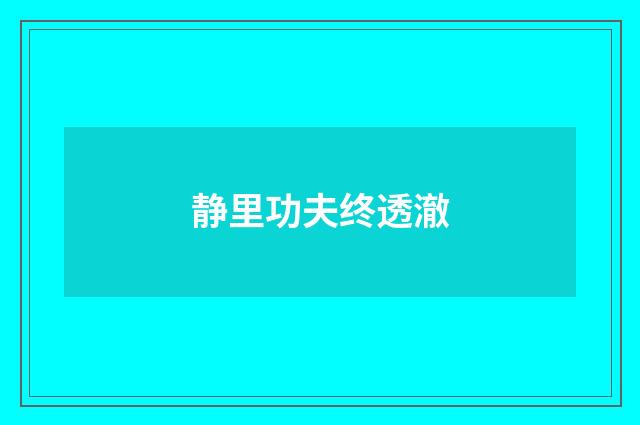 静里功夫终透澈