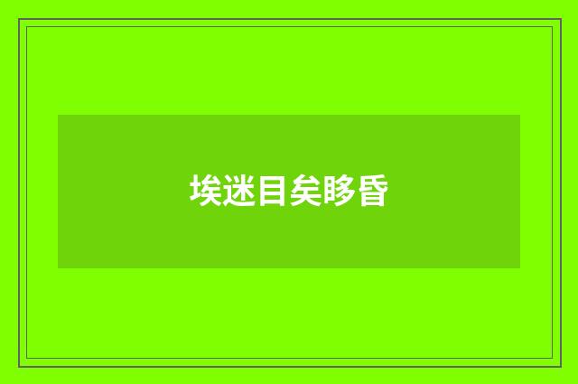 埃迷目矣眵昏