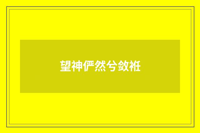 望神俨然兮敛袵