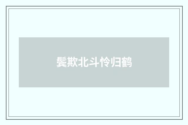 鬓欺北斗怜归鹤