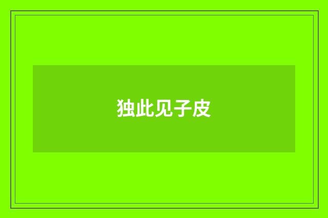 独此见子皮