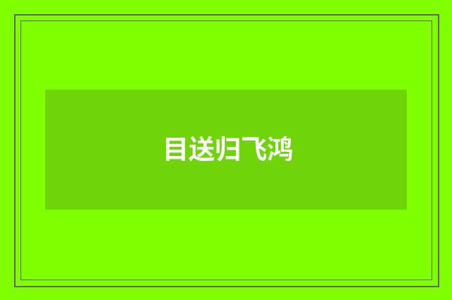 目送归飞鸿