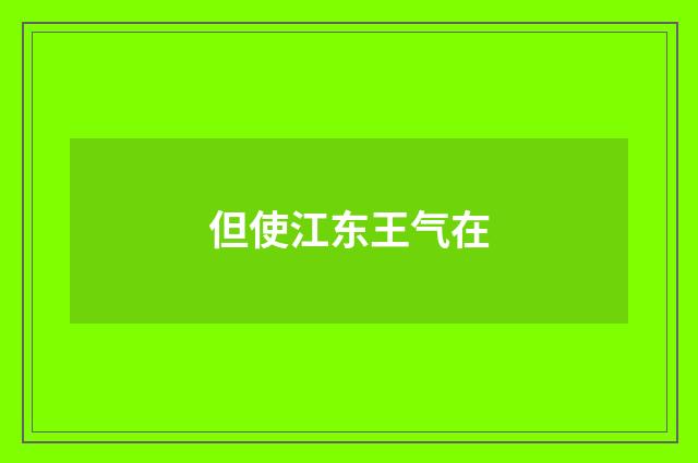但使江东王气在