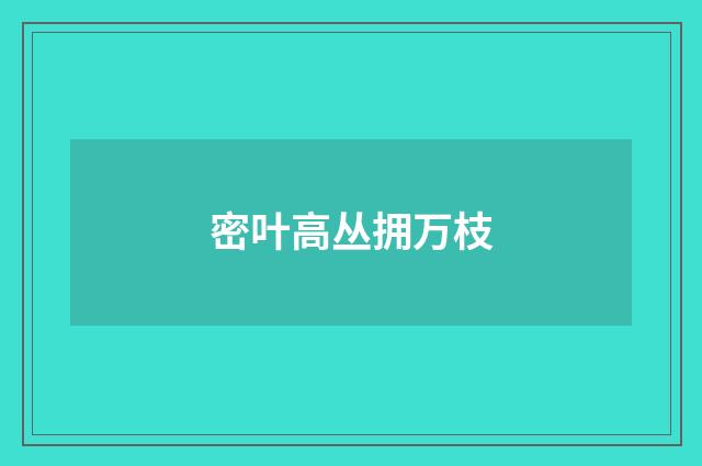 密叶高丛拥万枝