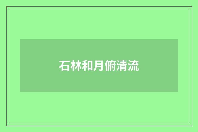 石林和月俯清流