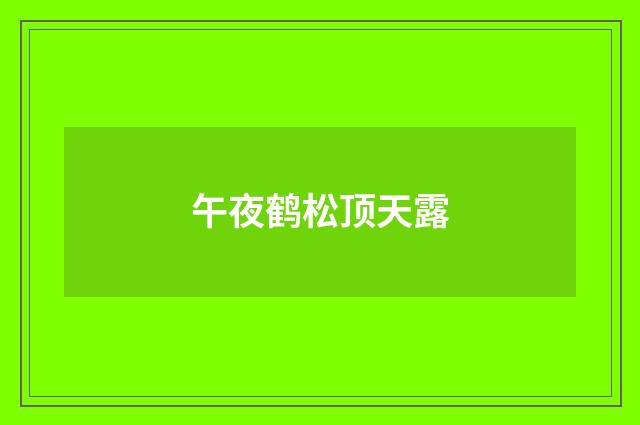午夜鹤松顶天露