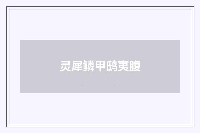 灵犀鳞甲鸱夷腹