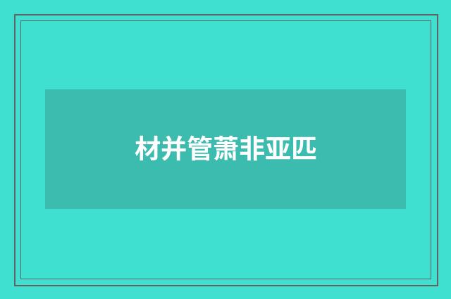 材并管萧非亚匹