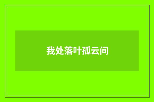 我处落叶孤云间