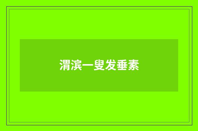 渭滨一叟发垂素