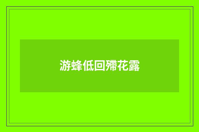游蜂低回殢花露