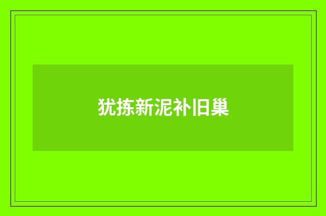 犹拣新泥补旧巢