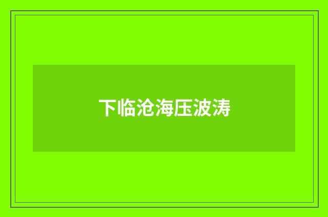 下临沧海压波涛