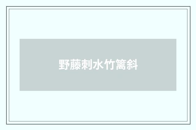 野藤刺水竹篱斜