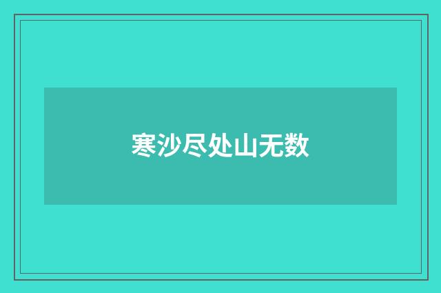 寒沙尽处山无数
