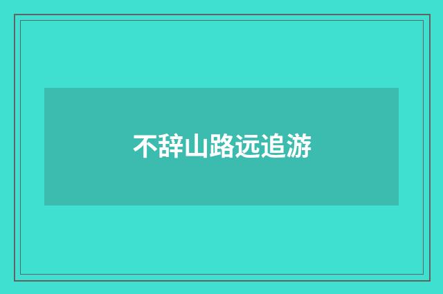 不辞山路远追游