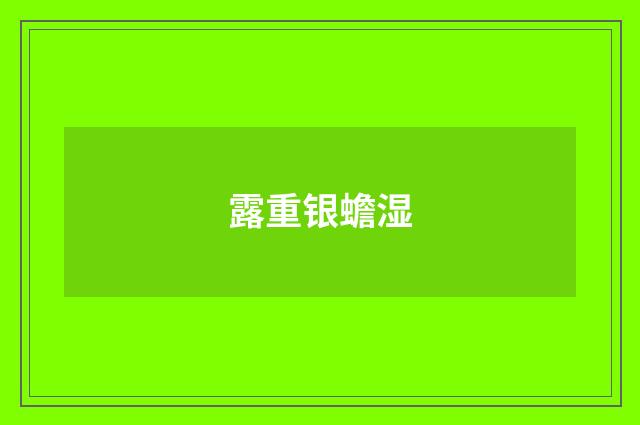 露重银蟾湿