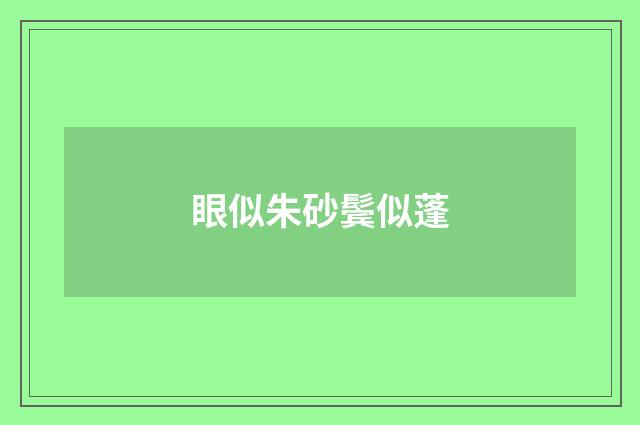眼似朱砂鬓似蓬