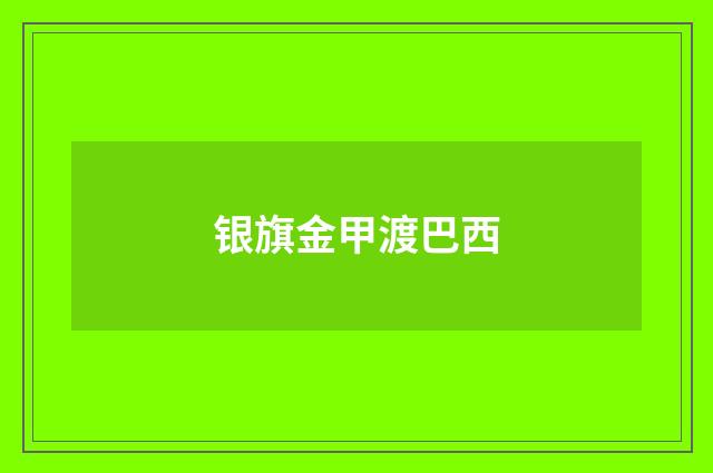 银旗金甲渡巴西