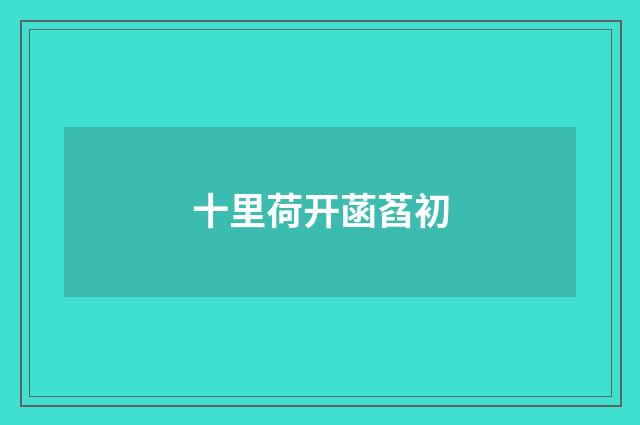 十里荷开菡萏初