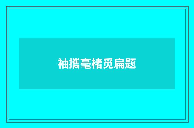 袖攜毫楮觅扁题