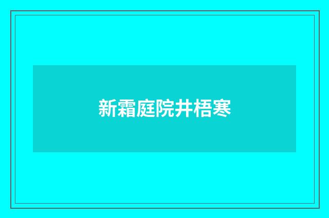 新霜庭院井梧寒