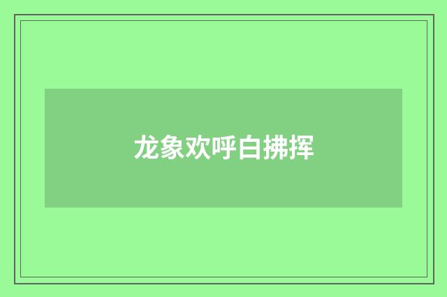 龙象欢呼白拂挥