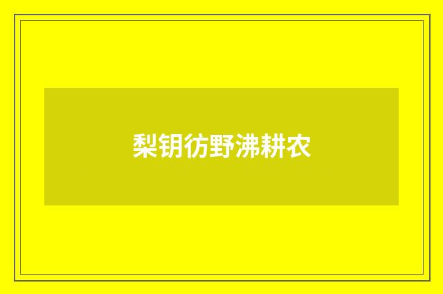梨钥彷野沸耕农