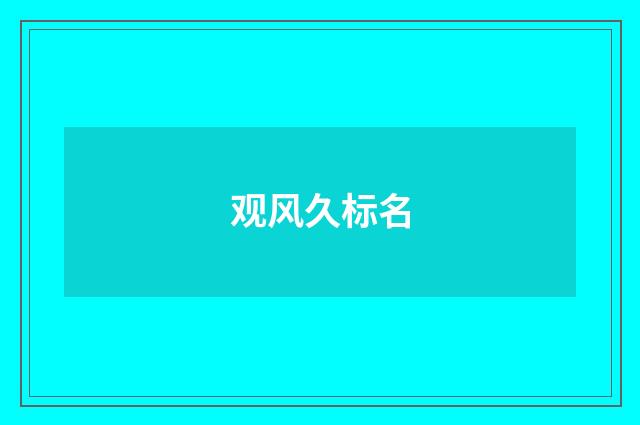 观风久标名