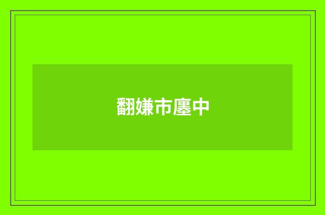 翻嫌市廛中