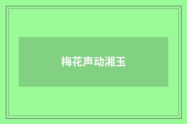 梅花声动湘玉